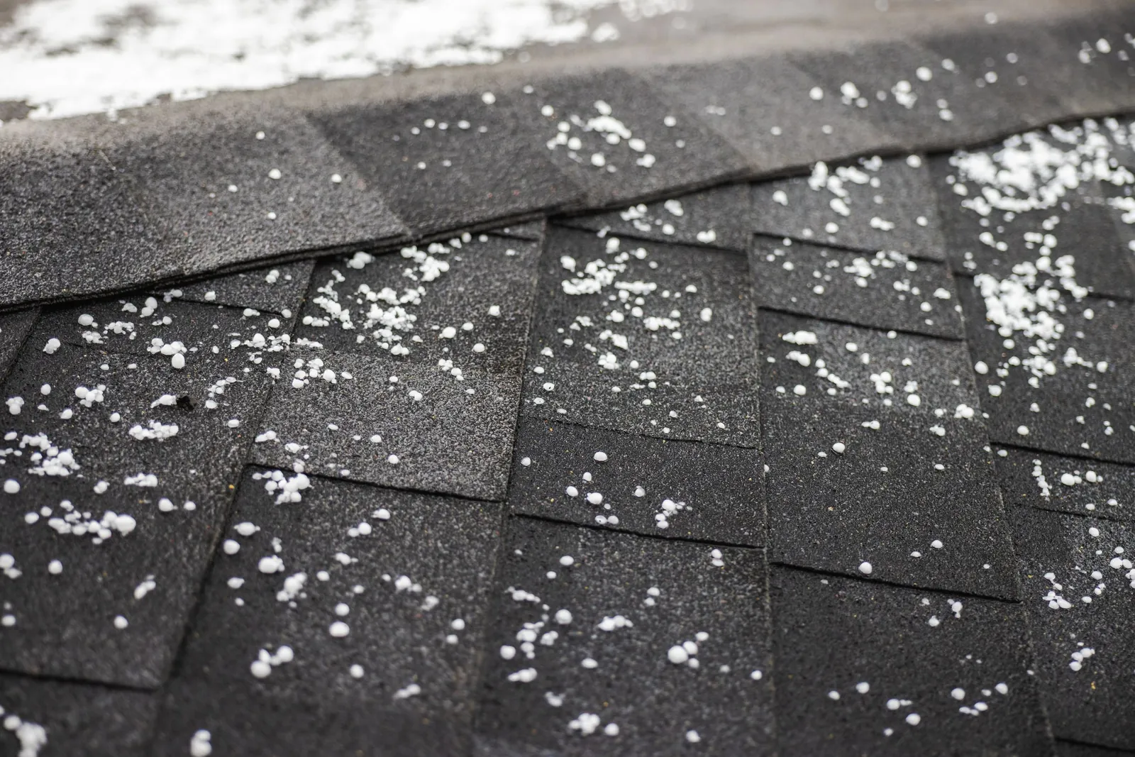 Hailstones scattered across dark asphalt shingles after a storm