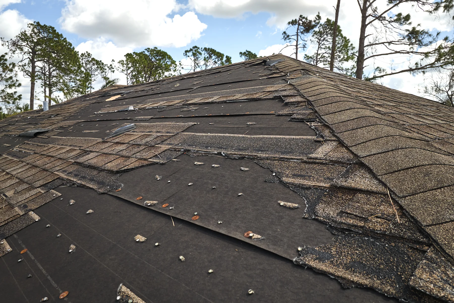 Asphalt shingle roof with large patches of missing shingles exposing dark underlayment